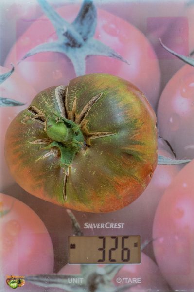 kozula47 03 juillet 2019