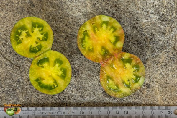 large atomic grape(left) vs large atomic grape(right)11 juillet 2019 5