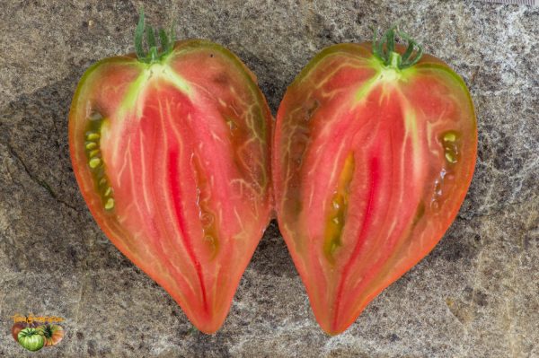 linnaeus heart 06 août 2019 5