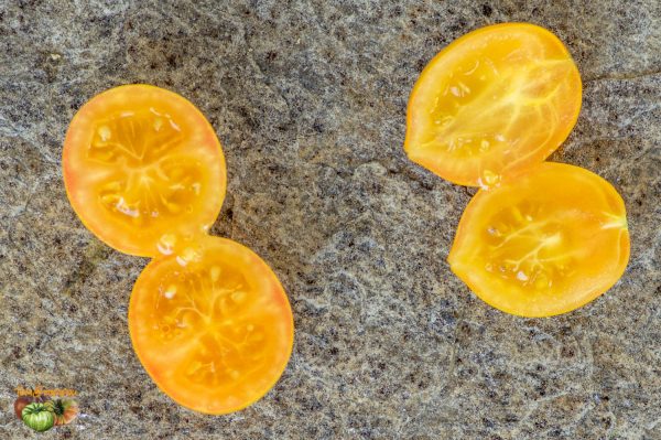 tigerette cherry yellow 10 juillet 2019