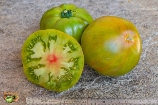 copia pomme typ1 25 juillet 2022 7