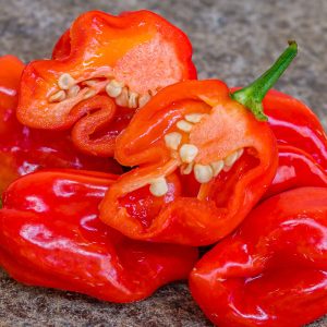 habanero grenada-seasoning