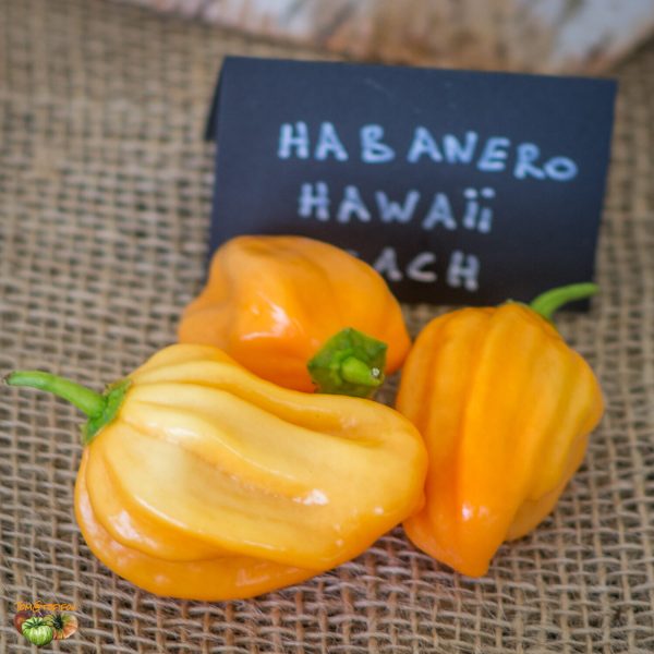 habanero hawaÏ