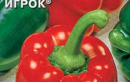 IGROK