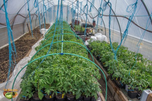 plants 27 avril 2019