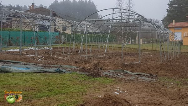 serres 21 janvier 2019 3