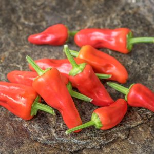 snack pepper