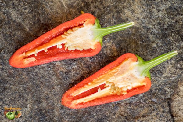 SNACK PEPPER - Image 3