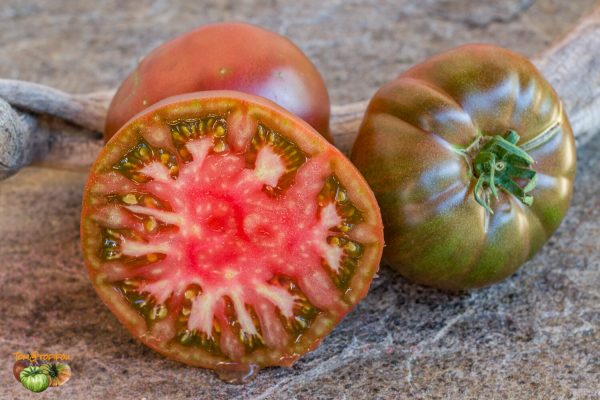 black krim 28 juillet 2022 5