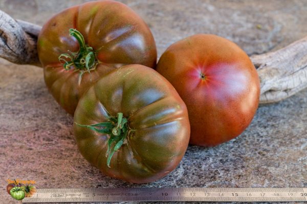 BLACK KRIM - Image 3