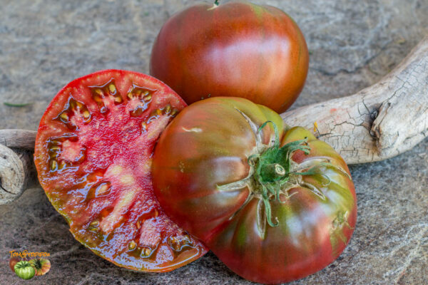 BLACK KRIM