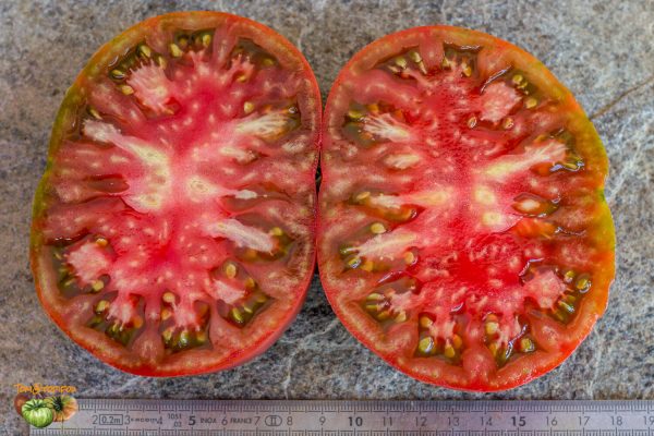 BLACK KRIM - Image 6