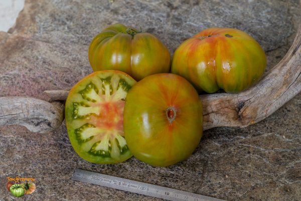 copia pomme 18 août 2022 3
