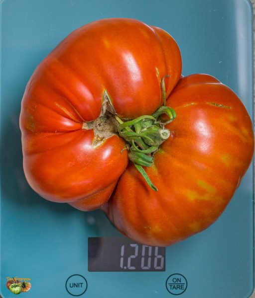 west virginia sweet meat 04 août 2022 2