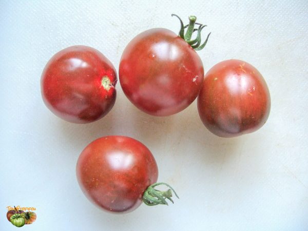BROWN BERRY - Image 2