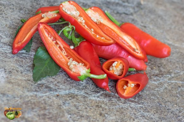 banana chili 11 septembre 2018 4