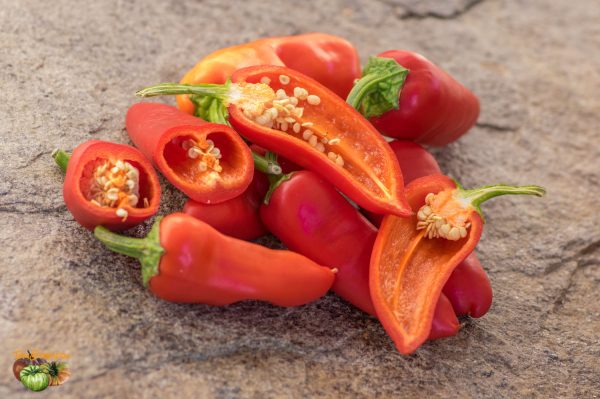 banana chili 24 septembre 2018 2