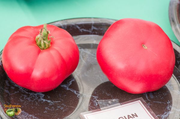 belgian farmers beefsteak