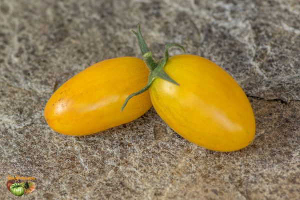 blushxclementine f2 2 29 juin 2018 3