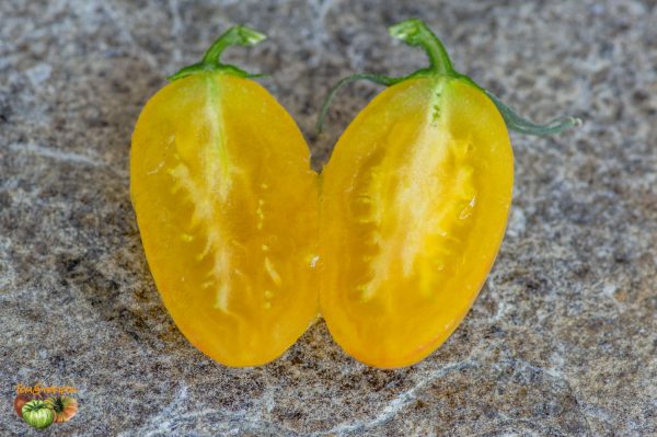 blushxfake clementine f2 2 30 juin 2018 2