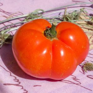 carotina orange caro