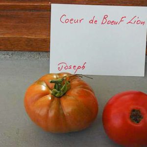 lvinoe serdtse coeur de lion