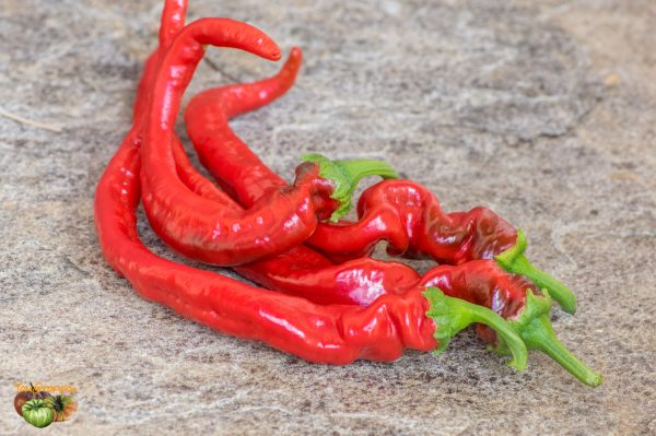 cornul caprei 21 août 2018 2 3