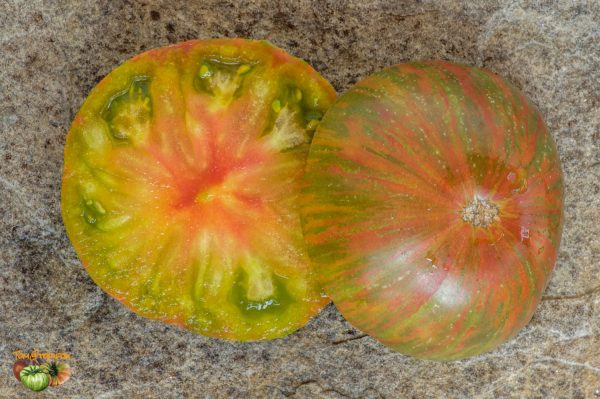 dwarf peppermint 07 août 2018 6 4
