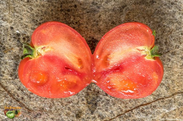 dwarf red heart 05 juillet 2018 2