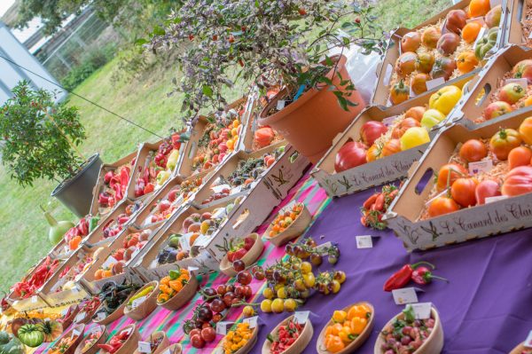 expo beaumont 07 octobre 2018 15