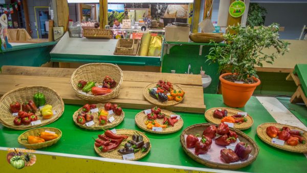 expo clermont 22 septembre 2018 5