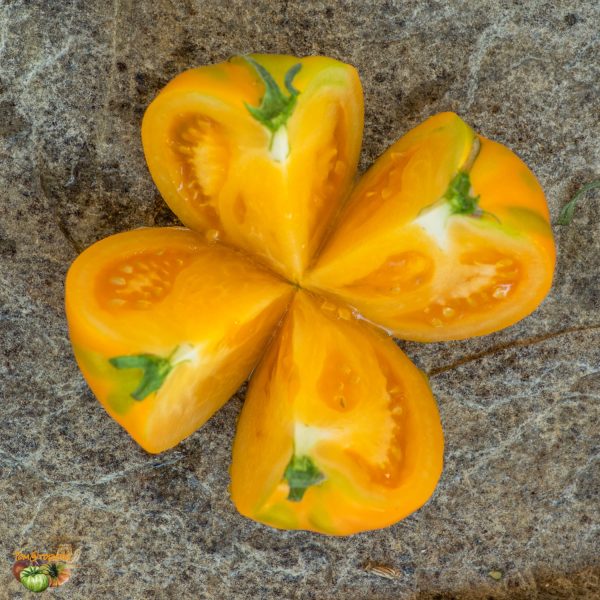 faribo golden heart 20 août 2018 7