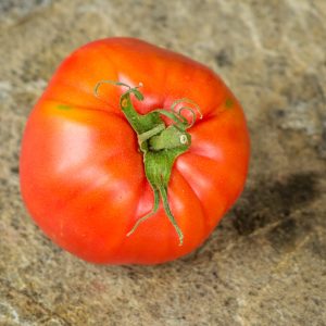 garvey's plum