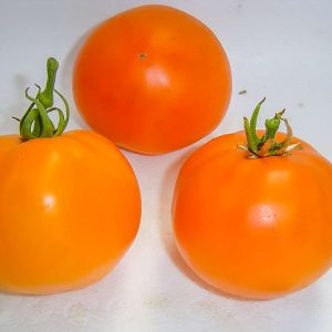 grosse orange