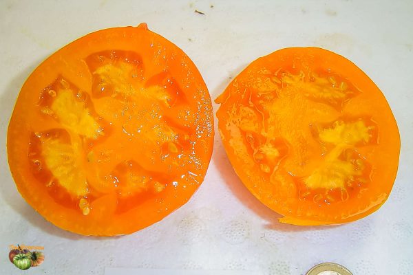 BIG ORANGE - Image 2