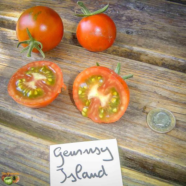 GUERNSEY ISLAND - Image 2