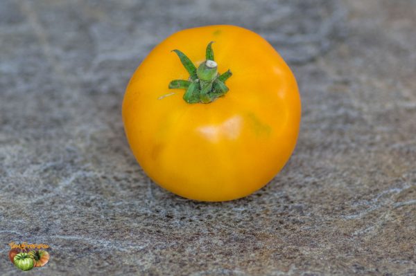 hartsack yellow 17 juillet 2018 2