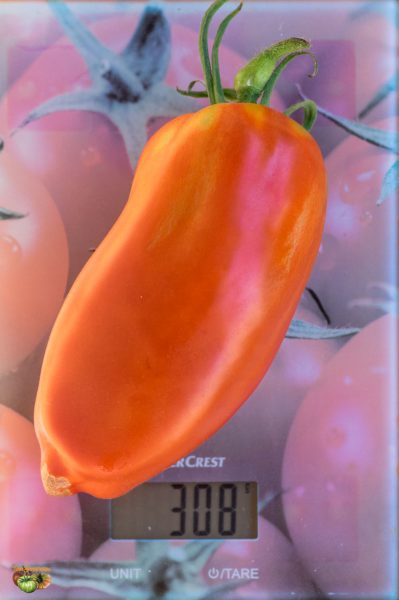 kozula139 3 15 août 2018