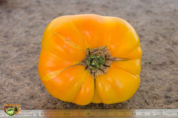 paw paw