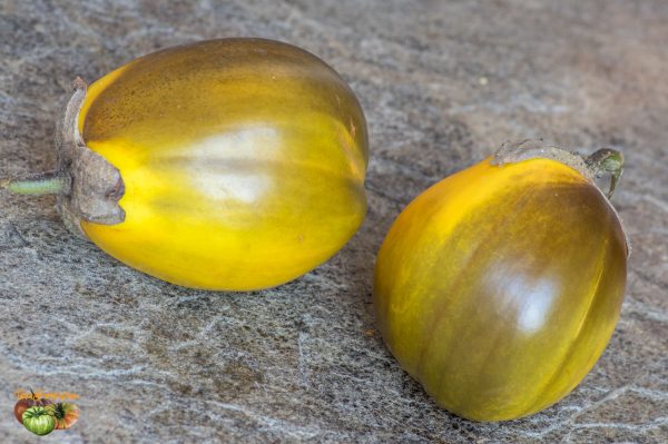 prosperosa 19 octobre 2018