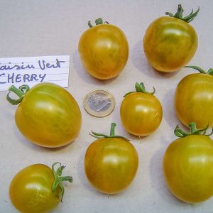 raisin vert