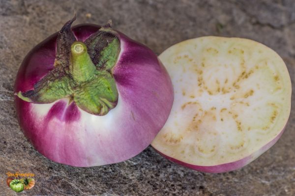 round mauve 19 juillet 2018 6 3