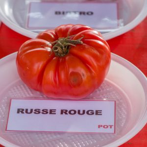 russe rouge