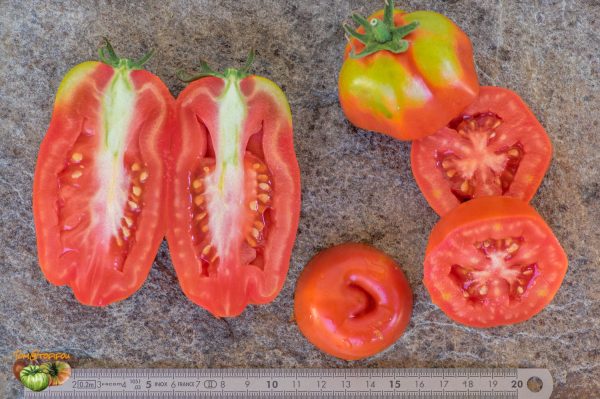 san marzano 15 août 2018 3