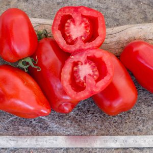 san marzano