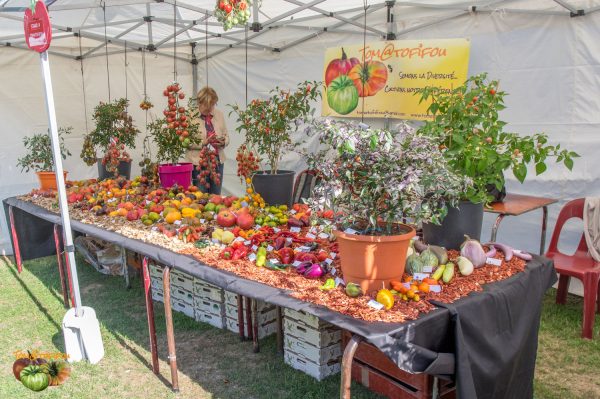 stand tomatofifou 25 août 2018 3