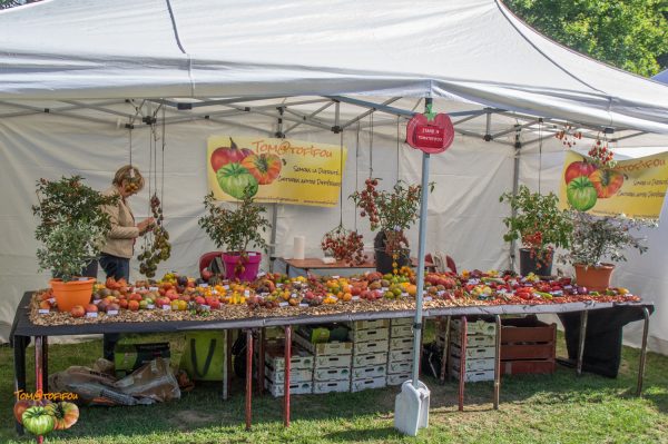 stand tomatofifou 25 août 2018