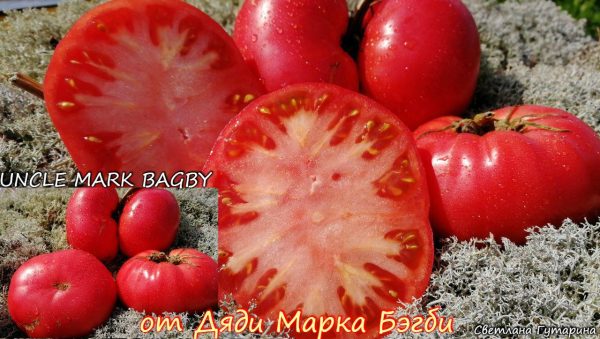 UNCLE MARK BAGBY'S