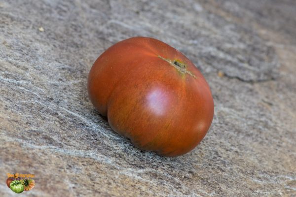 watermelon Арбузные