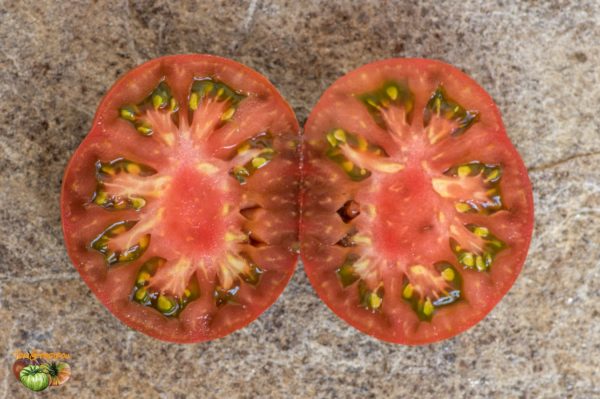 watermelon 19 juillet 2018 2
